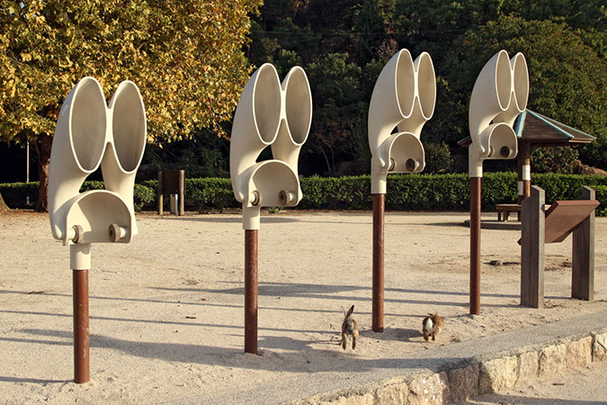 Rabbit-Island-2017_17