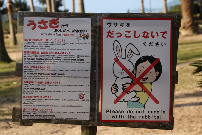 Rabbit-Island-2017_20