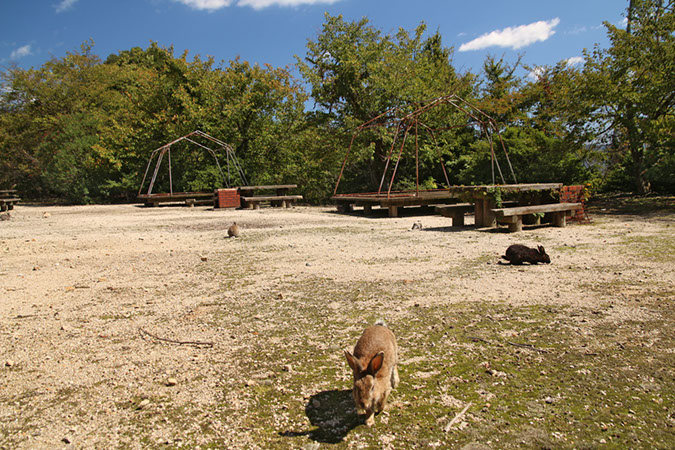 Rabbit-Island-2017_26