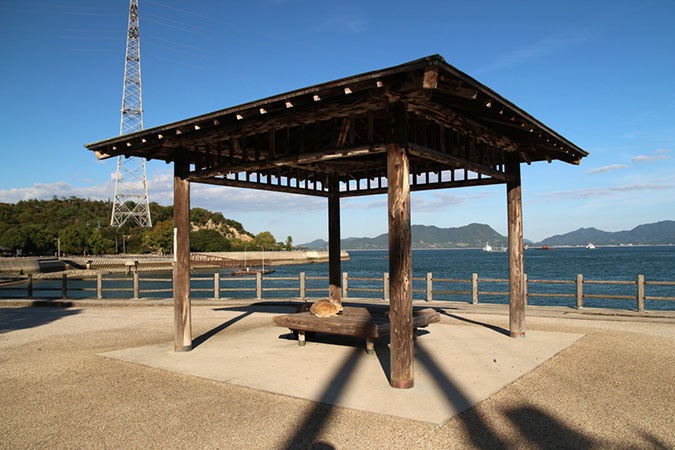 Rabbit-Island-2017_32