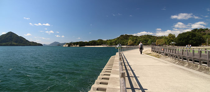 Rabbit-Island-2017_45