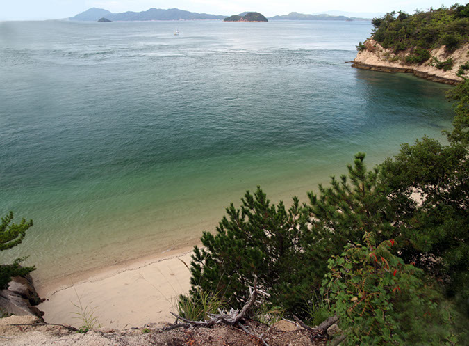 Rabbit-Island-2017_46