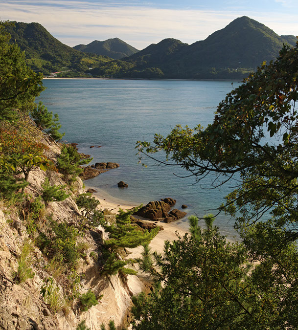 Rabbit-Island-2017_47