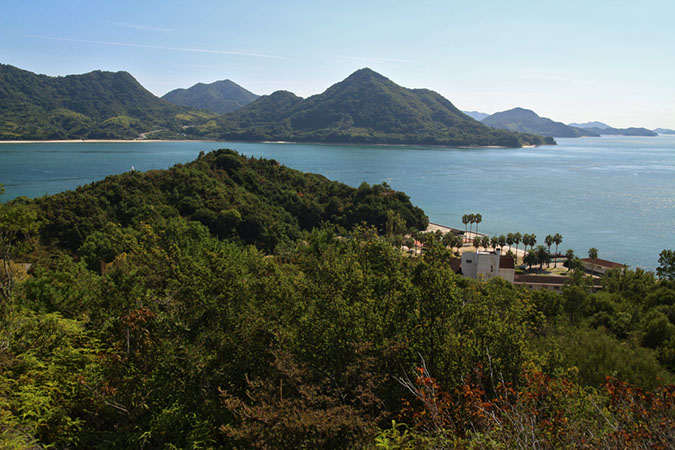 Rabbit-Island-2017_49