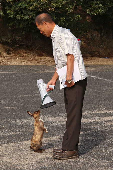 Rabbit-Island-2017_50