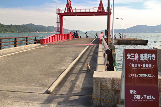 Rabbit-Island-2017_51