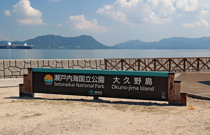 Rabbit-Island-2018_06