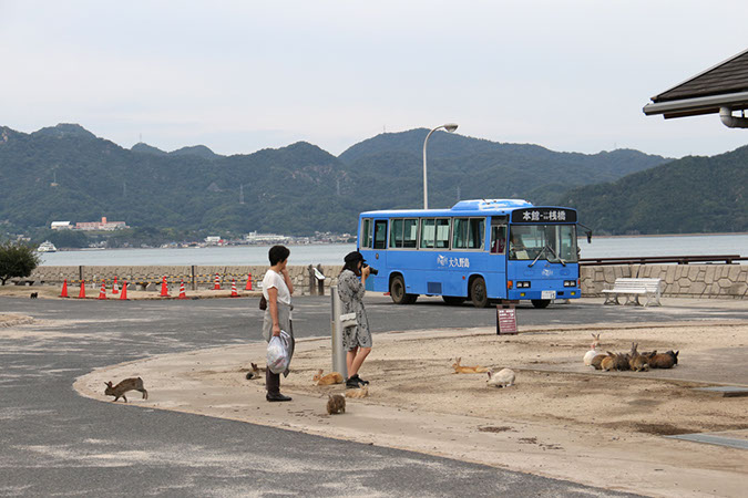 Rabbit-Island-2018_35