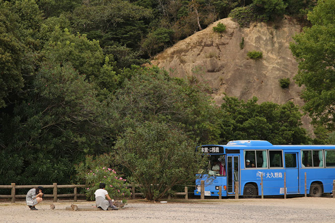 Rabbit-Island-2018_39