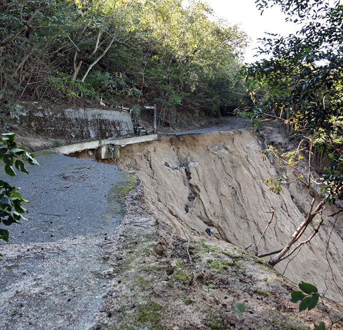 Rabbit-Island-2018_40