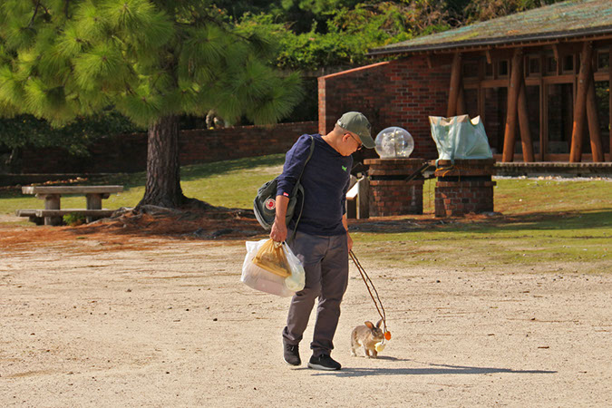 Rabbit-Island-2018_42