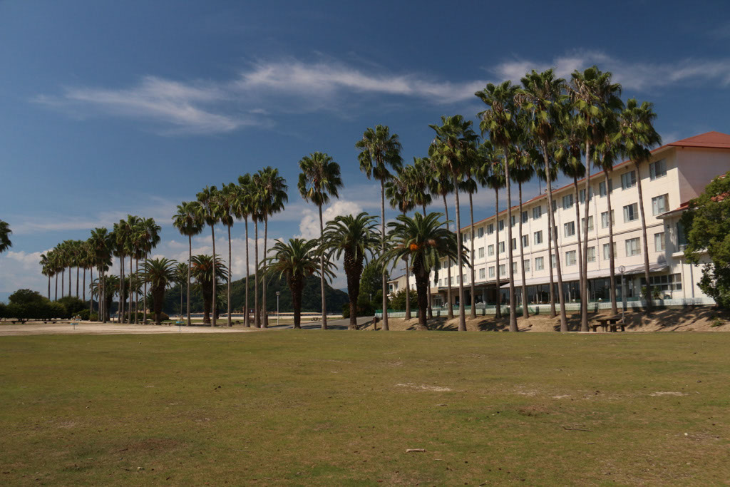 Rabbit-Island-2024_09