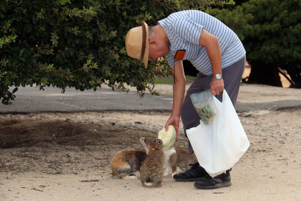 Rabbit-Island-2024_19