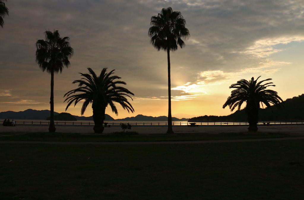 Rabbit-Island-2024_22