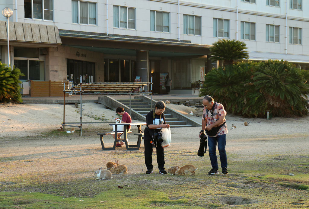 Rabbit-Island-2024_35