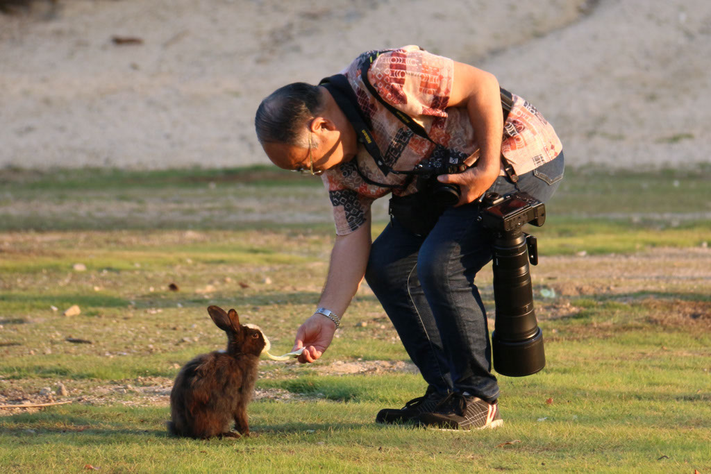 Rabbit-Island-2024_36