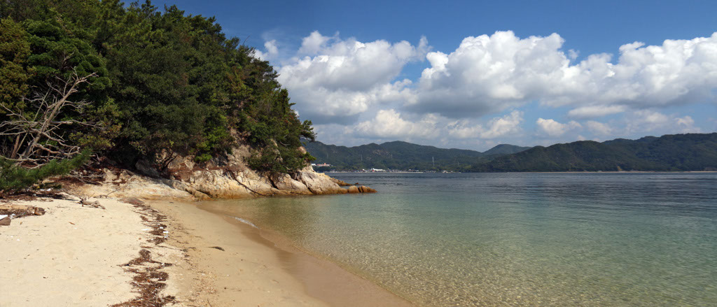 Rabbit-Island-2024_58