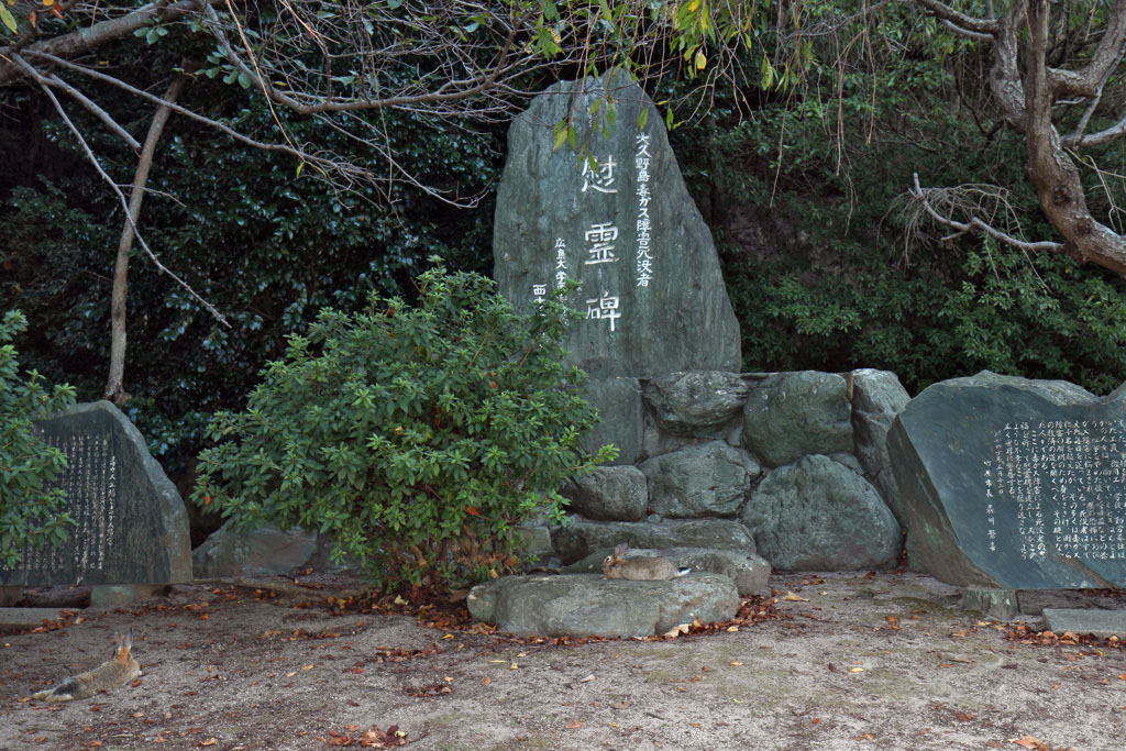 Rabbit-Island-2024_70