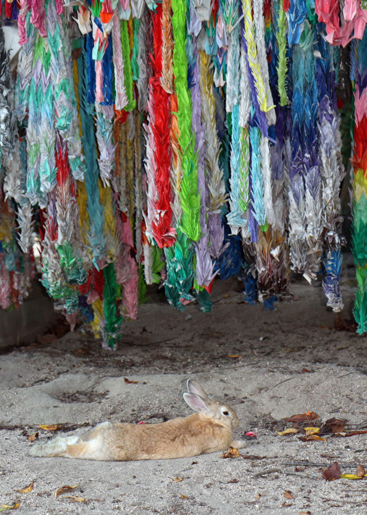 Rabbit-Island-2024_71