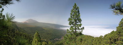 194_Panorama_Orotavatal2-1